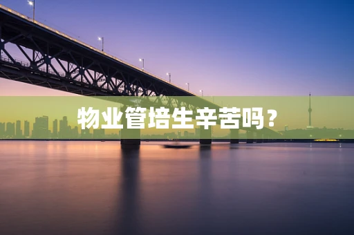 物业管培生辛苦吗？