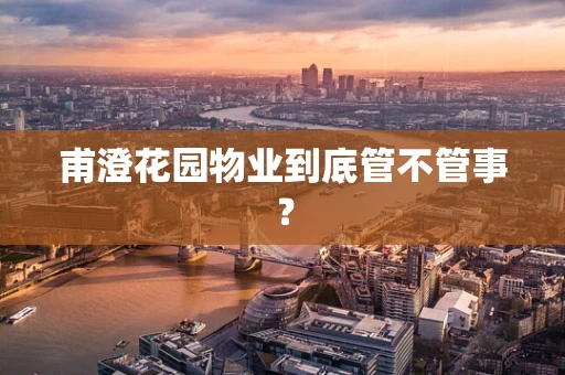 甫澄花园物业到底管不管事？