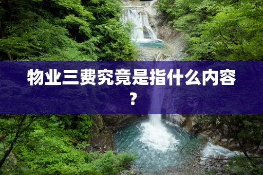 物业三费究竟是指什么内容？