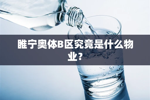 睢宁奥体B区究竟是什么物业？
