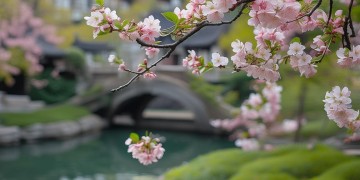 国晋与物业有关系吗？