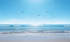 海空家园物业该如何进行通知？