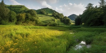 邹平见埠物业究竟在哪？