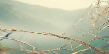 物业体系究竟是什么意思？