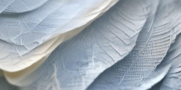 物业资信评价究竟是什么？